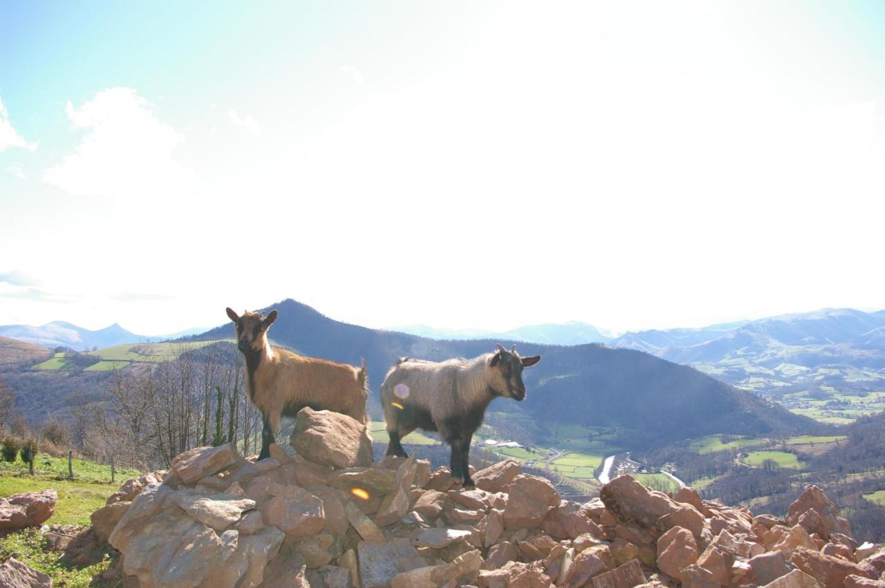 Gite Xuritenborda 7 Personnes Avec Vue Exceptionnelle Sur Les Montagnes Basque Ossès Εξωτερικό φωτογραφία