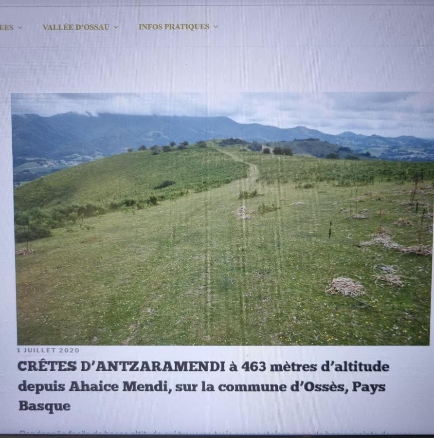 Gite Xuritenborda 7 Personnes Avec Vue Exceptionnelle Sur Les Montagnes Basque Ossès Εξωτερικό φωτογραφία